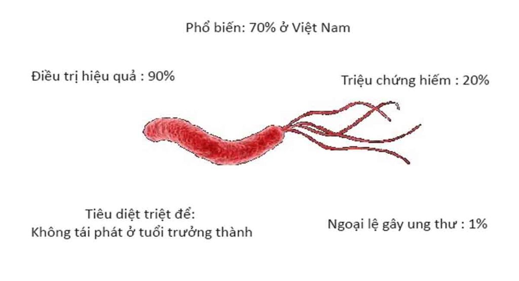 cach-dieu-tri-vi-khuan-hp