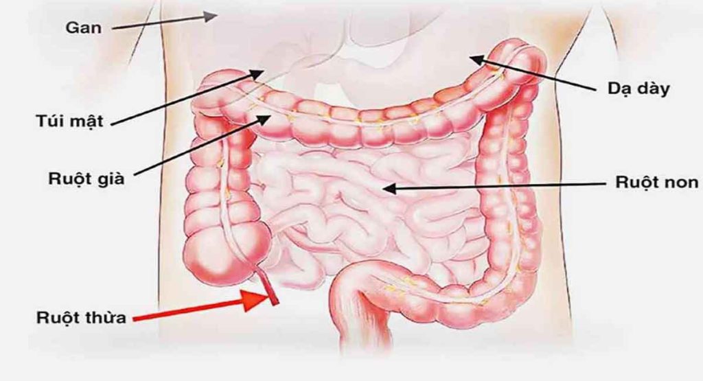 trieu-chung-cua-benh-ung-thu-ruot-non
